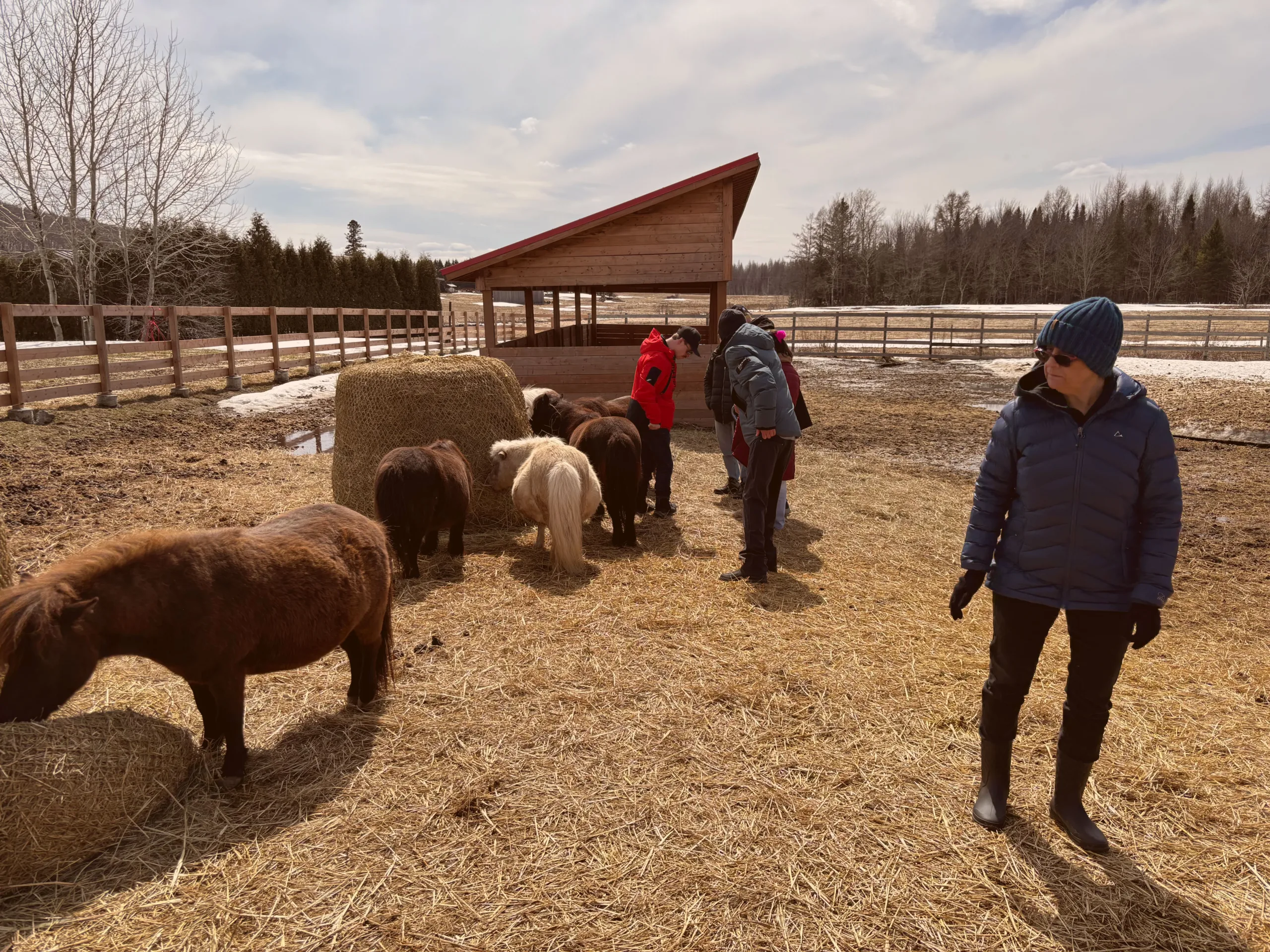 Sortie à la ferme